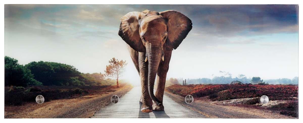 Garderobenleiste aus Glas mit Elefantenmotiv, 80 x 30 cm | Mobile Wohnspass