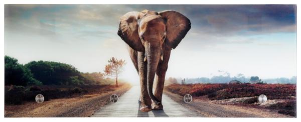 Garderobenleiste aus Glas mit Elefantenmotiv, 80 x 30 cm | Mobile Wohnspass